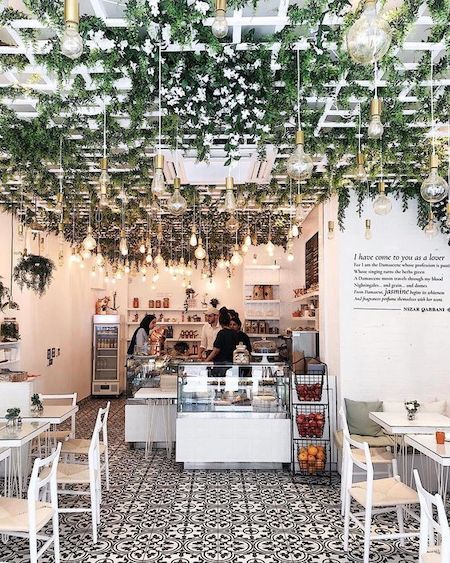 hanging plants in a restaurant