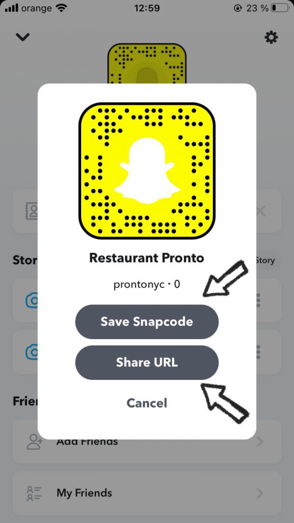 share your snapchat url